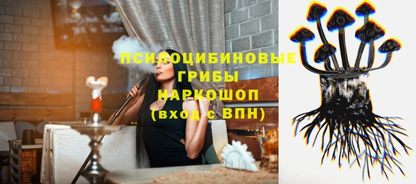 Альфа ПВП Белокуриха