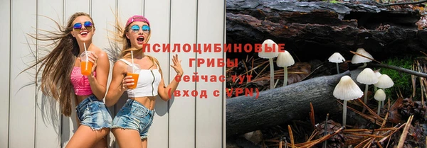 Альфа ПВП Белокуриха