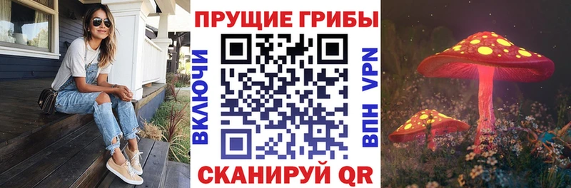 Галлюциногенные грибы мухоморы  Купить закладки  Асбест 